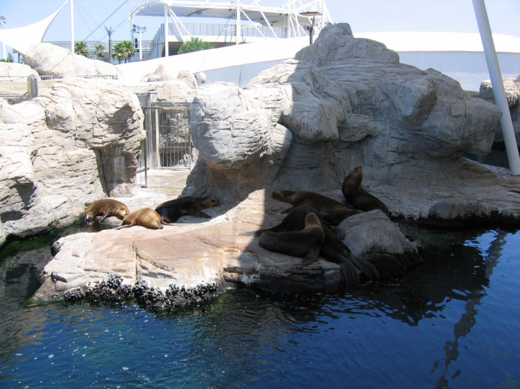 Image 17 of 71  -  111 kB