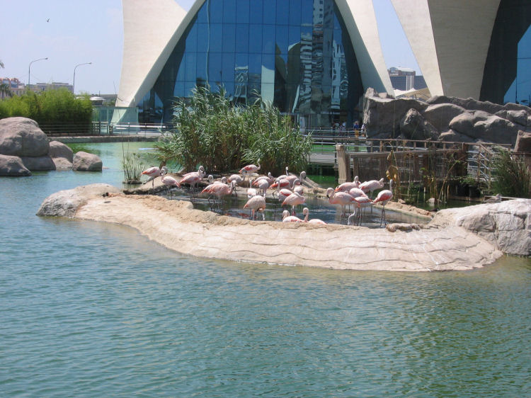 Image 18 of 71  -  116 kB