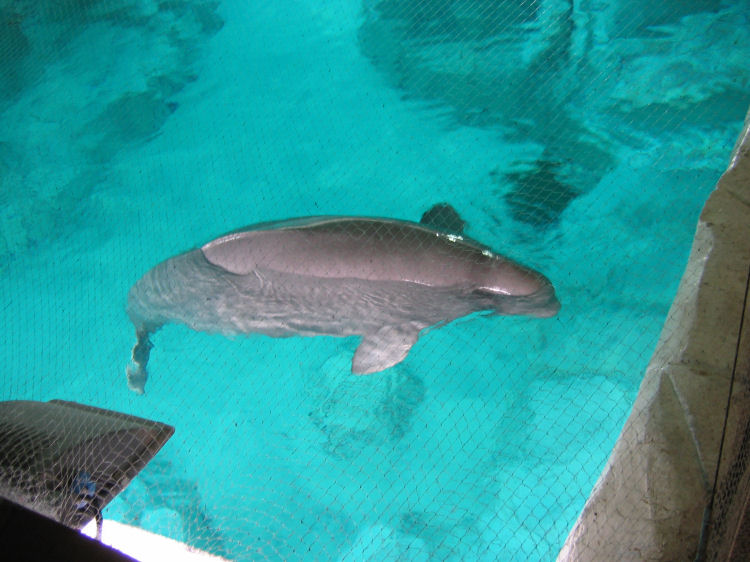 Image 19 of 71  -  94 kB