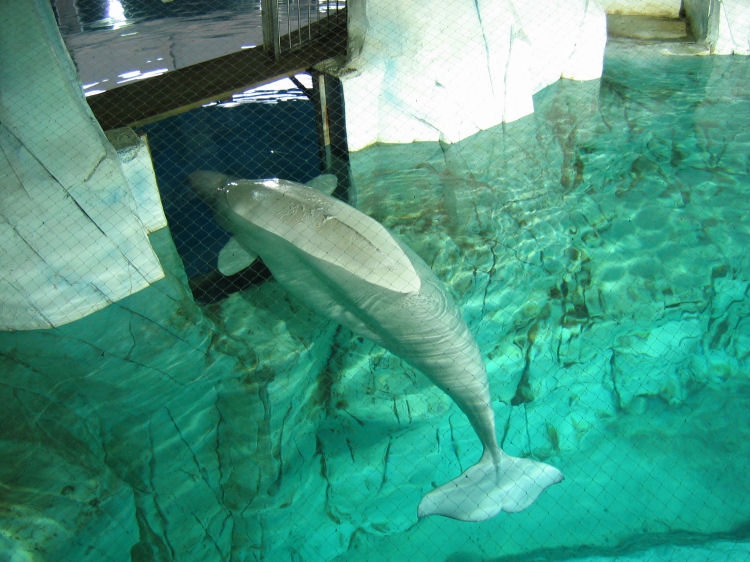 Image 20 of 71  -  108 kB