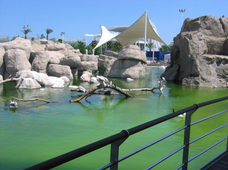 Image 21 of 71  -  103 kB