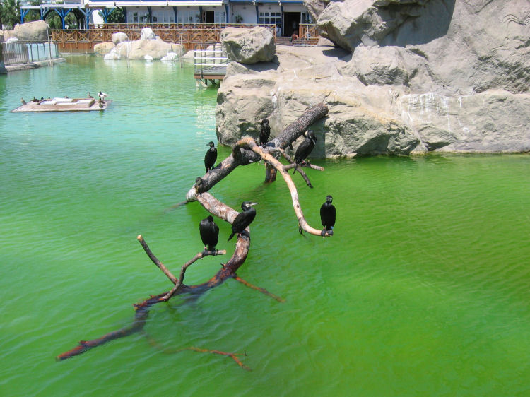 Image 22 of 71  -  107 kB