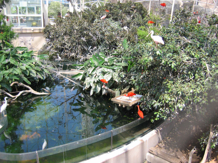 Image 24 of 71  -  184 kB