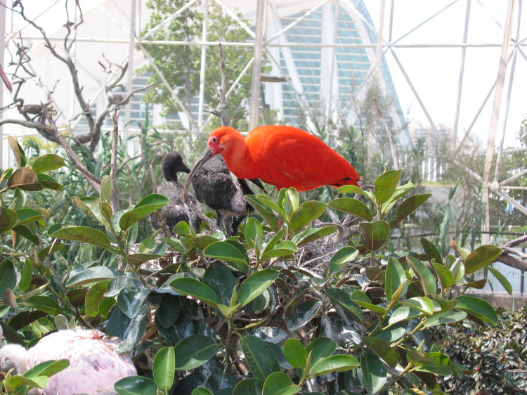 Image 25 of 71  -  142 kB