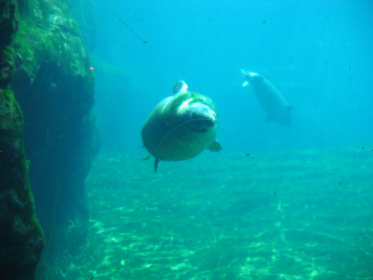 Image 26 of 71  -  55 kB