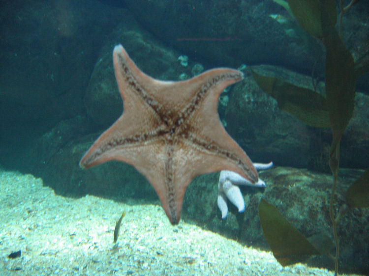 Image 27 of 71  -  86 kB