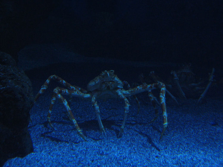 Image 28 of 71  -  79 kB