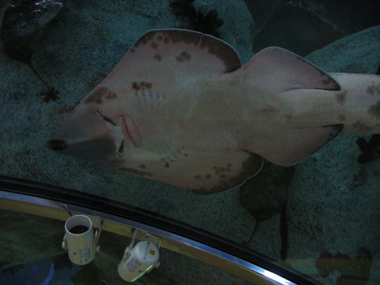 Image 30 of 71  -  70 kB