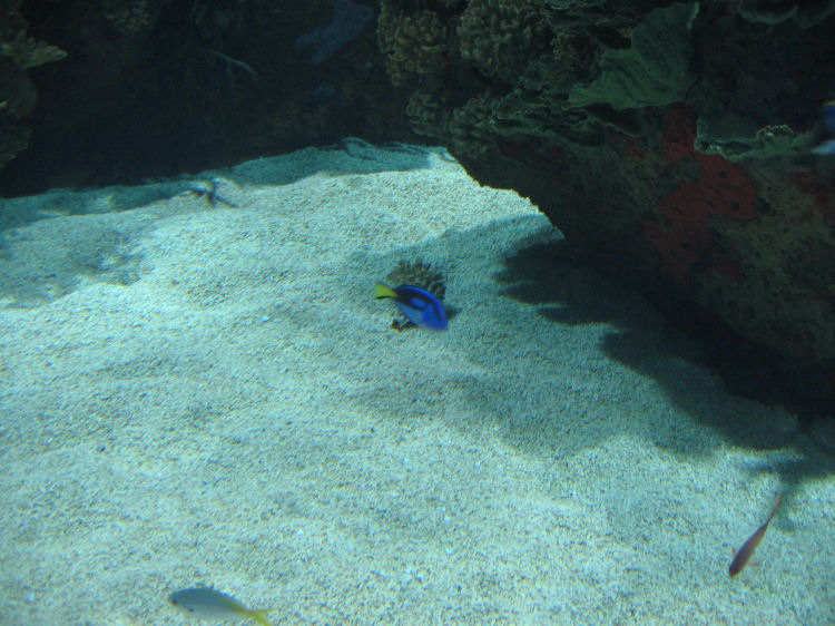 Image 31 of 71  -  117 kB