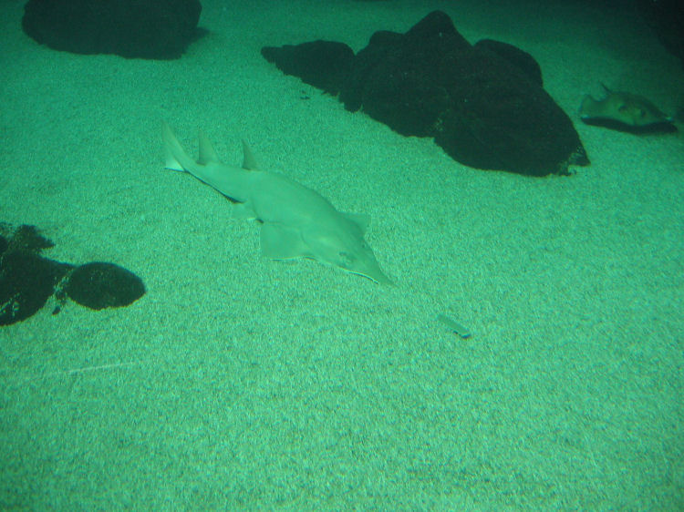 Image 33 of 71  -  113 kB