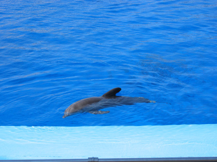 Image 36 of 71  -  93 kB