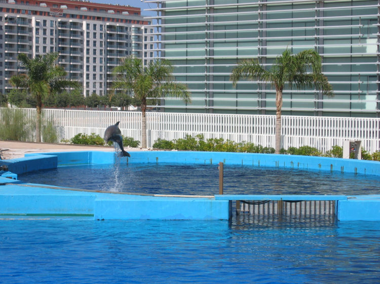 Image 37 of 71  -  130 kB