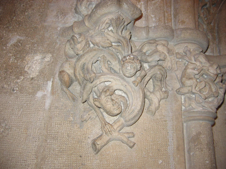 Image 50 of 71  -  108 kB