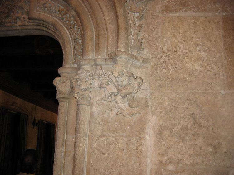 Image 51 of 71  -  81 kB