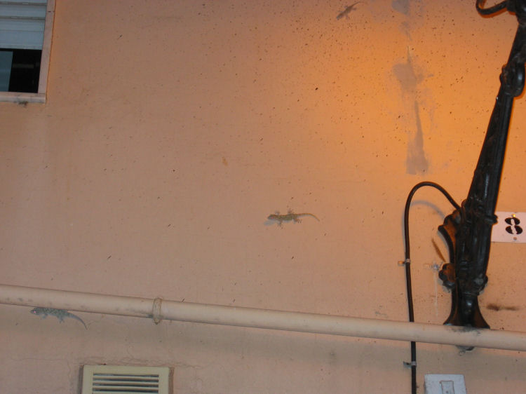 Image 69 of 71  -  55 kB