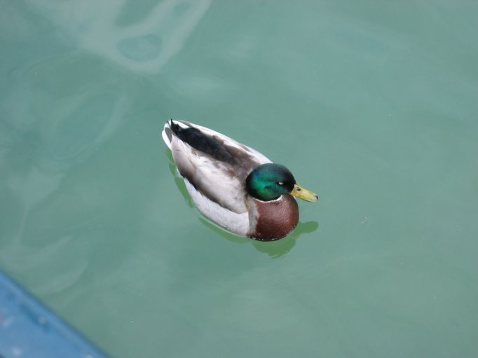 Image 5 of 31  -  19 kB