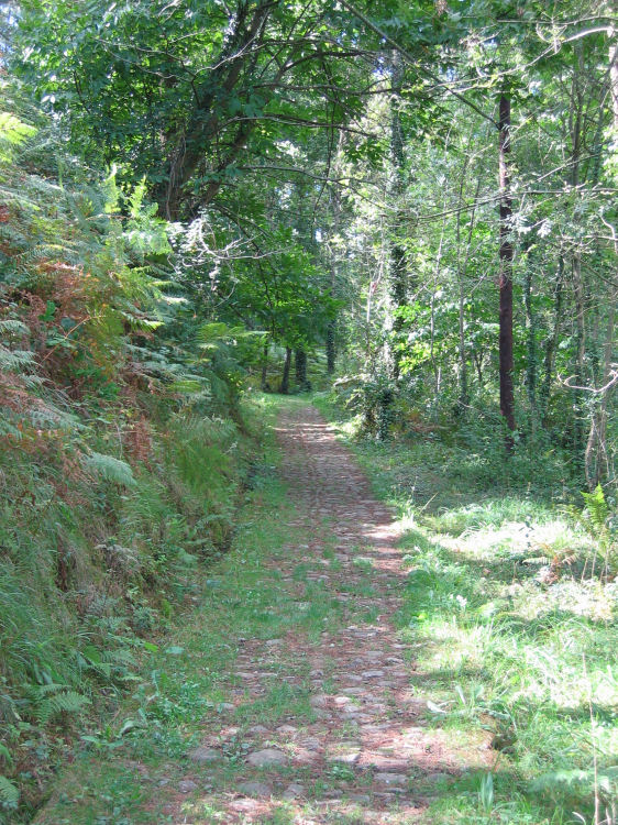 Image 5 of 33  -  197 kB