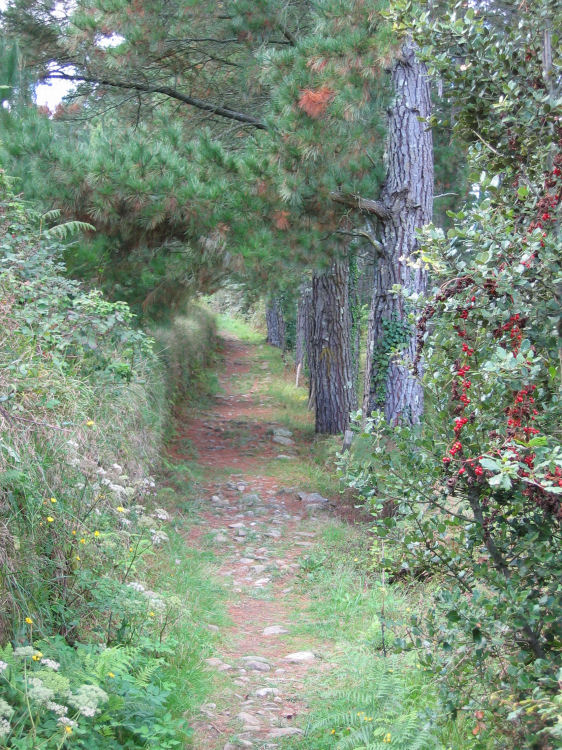 Image 6 of 33  -  182 kB