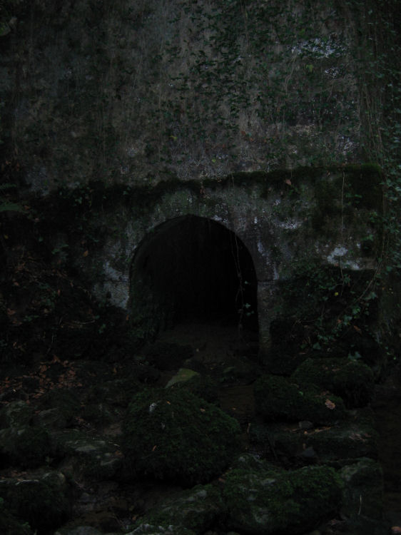 Image 6 of 18  -  72 kB