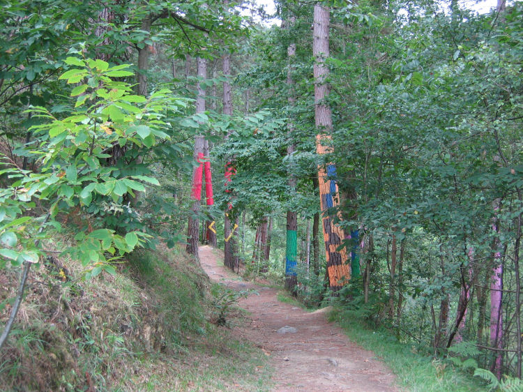 Image 7 of 18  -  185 kB