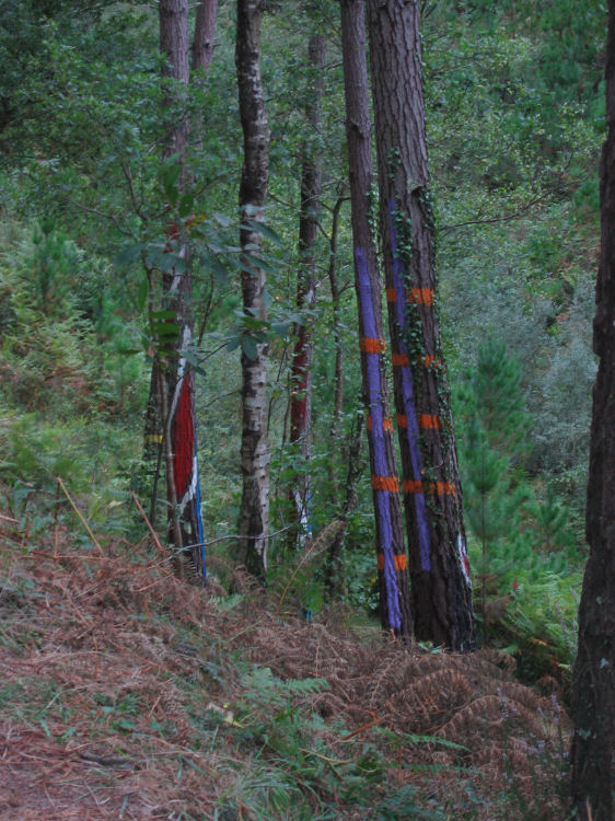 Image 9 of 18  -  139 kB