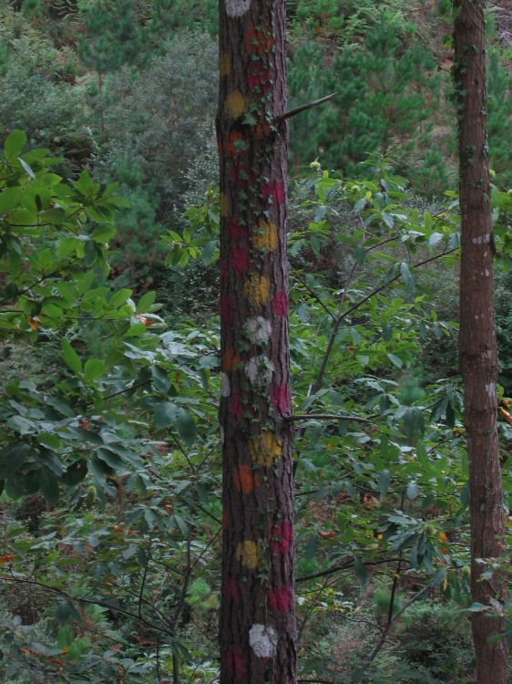 Image 10 of 18  -  143 kB