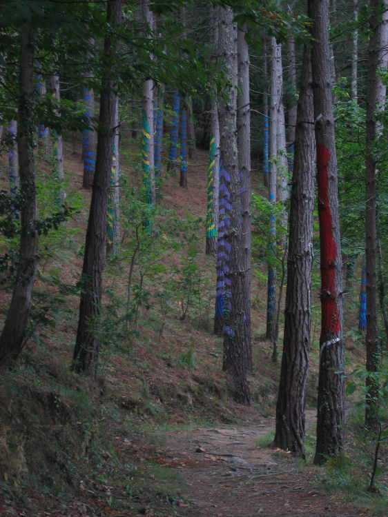 Image 11 of 18  -  131 kB