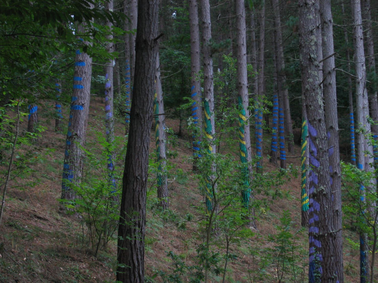 Image 12 of 18  -  137 kB