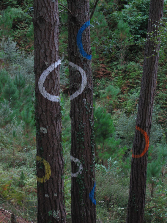 Image 13 of 18  -  132 kB