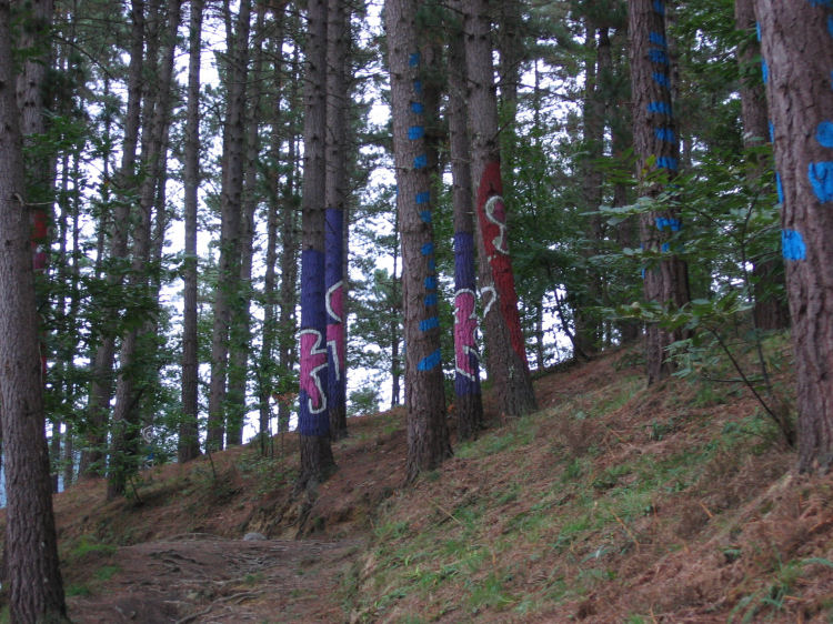 Image 14 of 18  -  147 kB