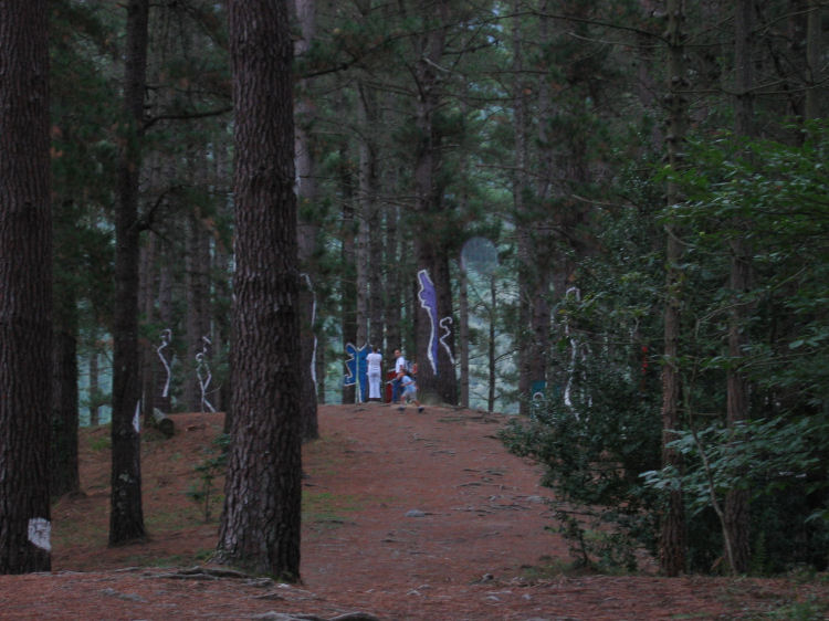 Image 15 of 18  -  97 kB