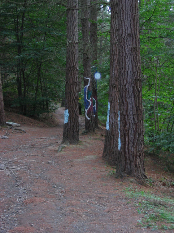 Image 16 of 18  -  124 kB