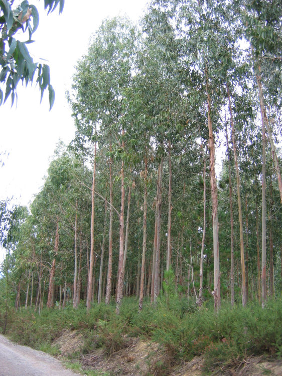 Image 17 of 18  -  167 kB