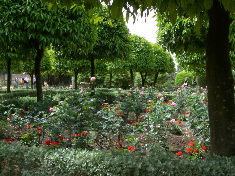 Image 2 of 24  -  203 kB