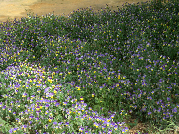 Image 7 of 24  -  231 kB