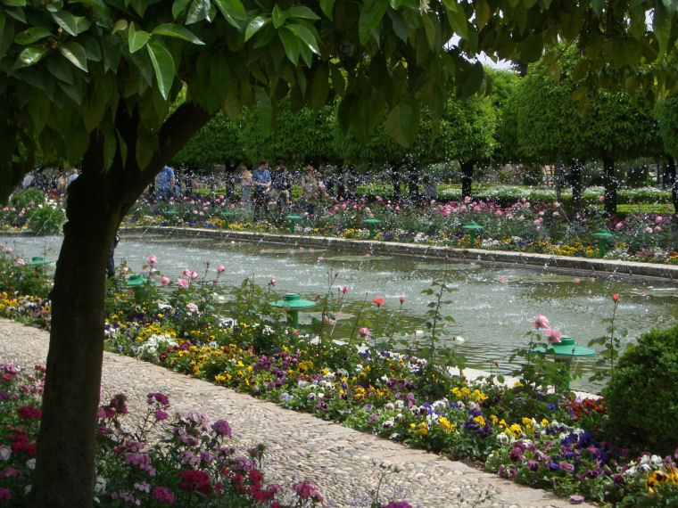 Image 8 of 24  -  194 kB