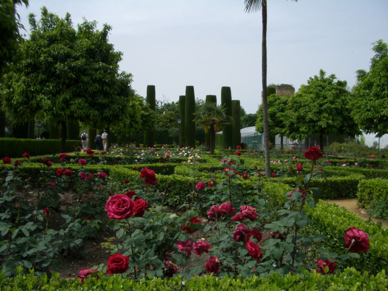 Image 10 of 24  -  156 kB