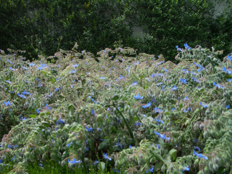 Image 11 of 24  -  189 kB