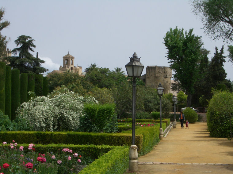 Image 12 of 24  -  137 kB