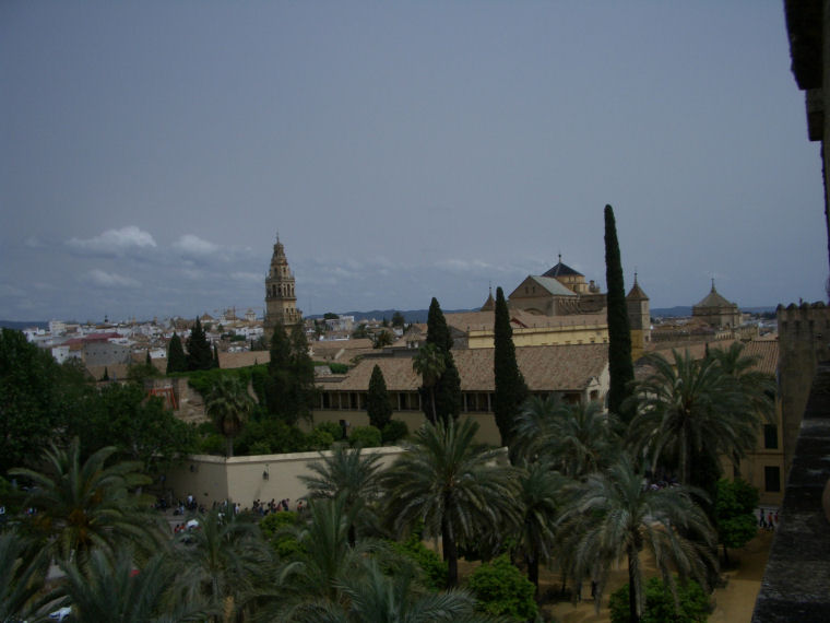 Image 14 of 24  -  93 kB