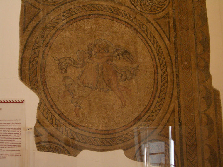 Image 16 of 24  -  132 kB