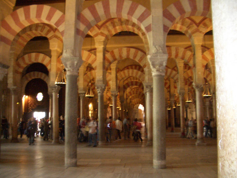 Image 20 of 24  -  126 kB