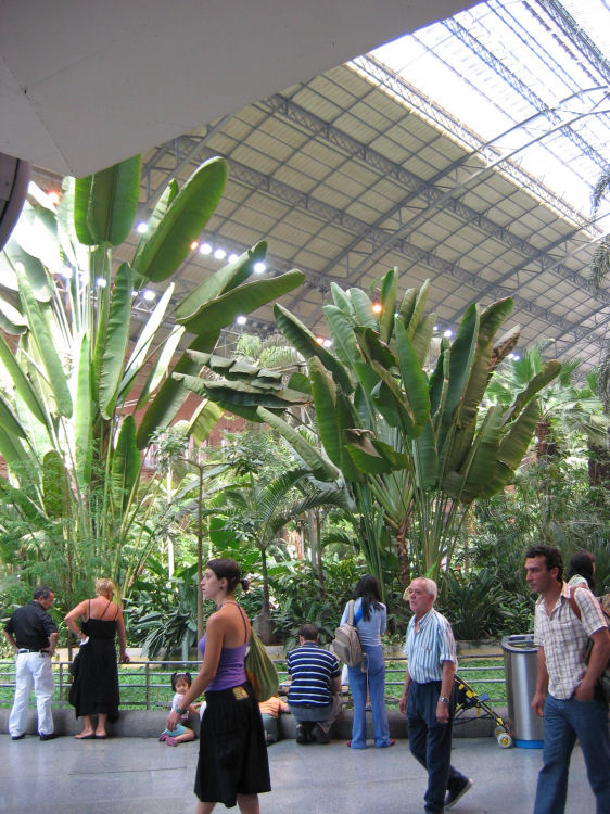 Image 2 of 8  -  144 kB