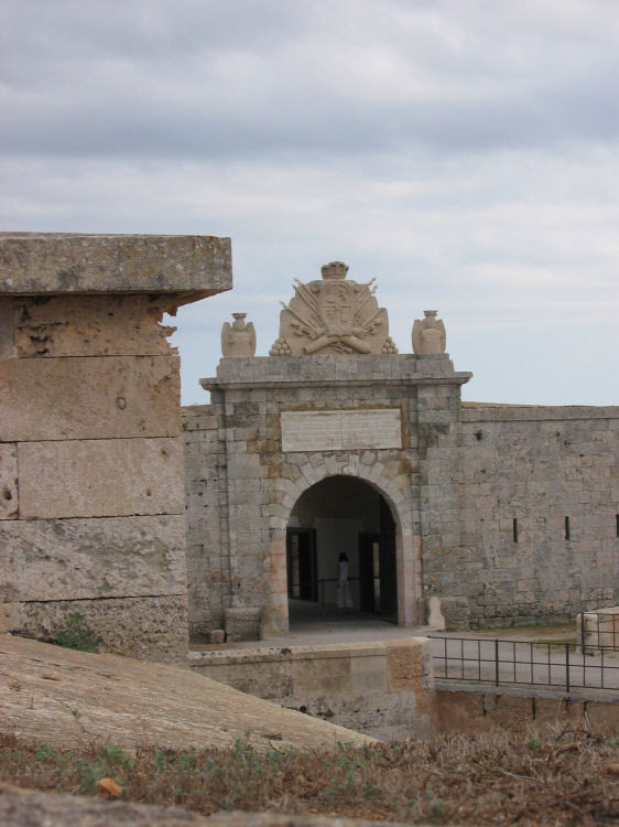 Image 3 of 110  -  79 kB