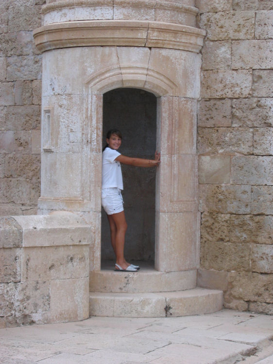 Image 8 of 110  -  96 kB