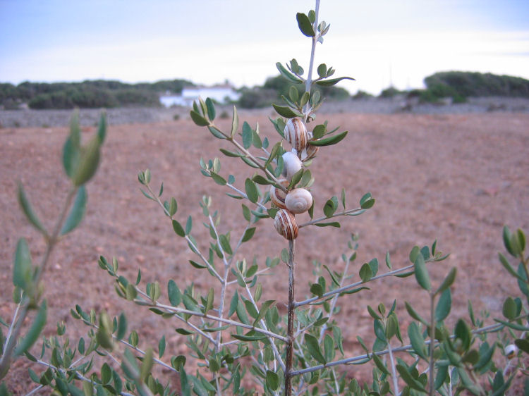 Image 35 of 110  -  91 kB