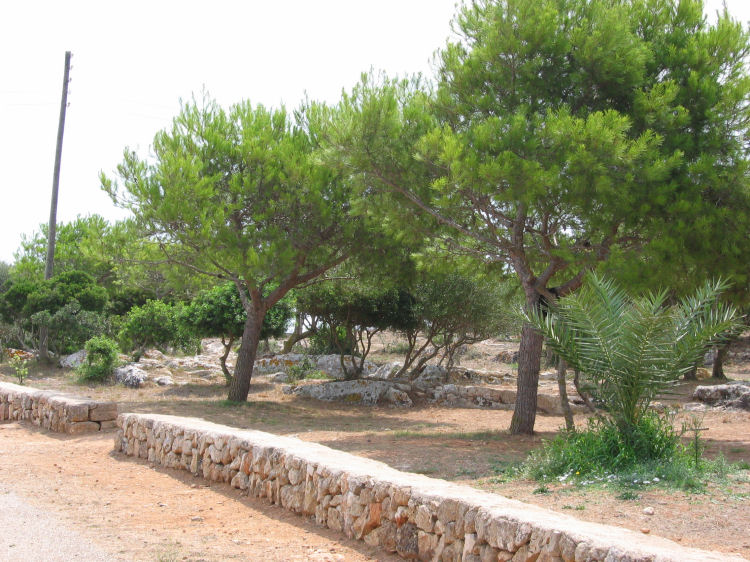 Image 37 of 110  -  137 kB