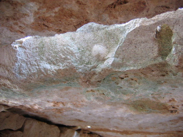 Image 47 of 110  -  105 kB