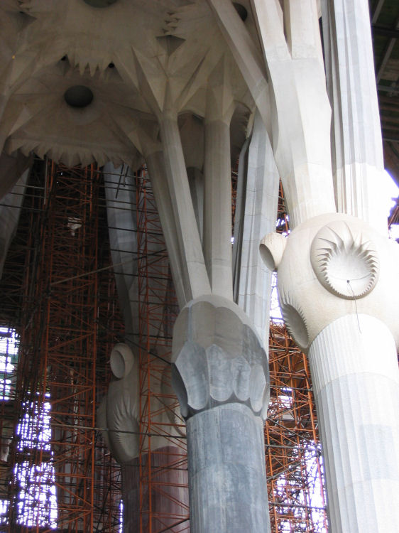 Image 22 of 26  -  96 kB