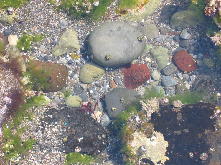 Image 26 of 27  -  156 kB